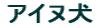 logo-ainu-dog-jap